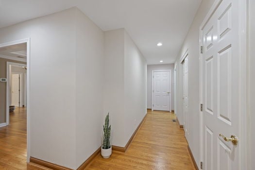 53-web-or-mls-DSC_6171