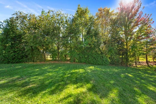 6-web-or-mls-4303 Hunting Hawk Dr (6 of 50)