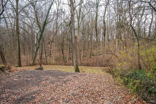 17-web-or-mls-3635 Ault Park Ave (17 of 19)