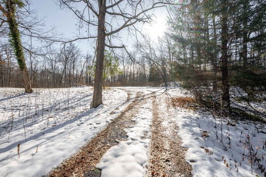 28-web-or-mls-3 Noel Ln (28 of 36)