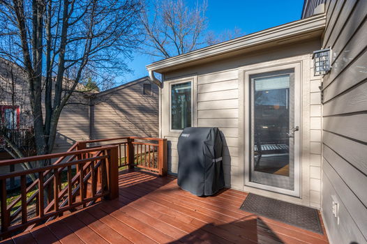 20-web-or-mls-33 Carpenters Ridge (20 of 106)