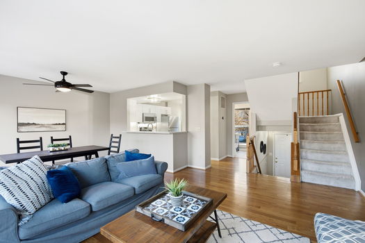 18-web-or-mls-416 Old Court St (18 of 50)