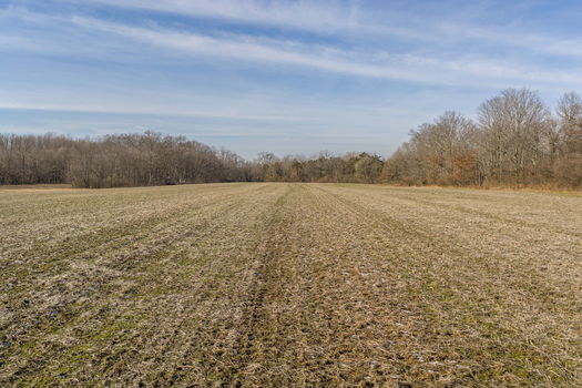 23-web-or-mls-8775 Schlottman Rd (23 of 23)