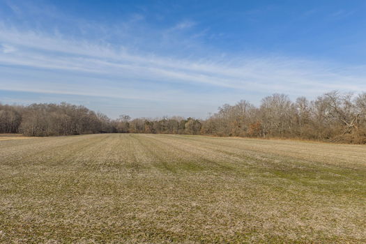 3-web-or-mls-8775 Schlottman Rd (3 of 23)