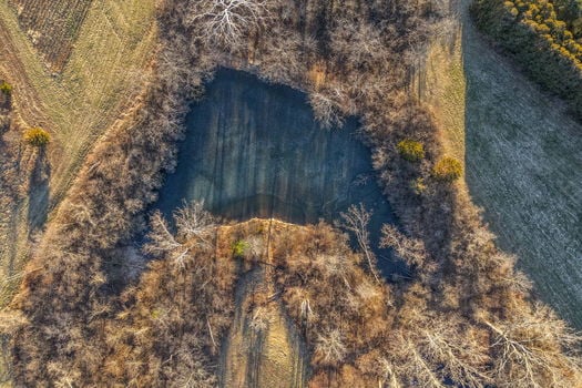 39-web-or-mls-6099 Millikin Rd (39 of 100)