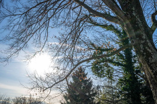 53-web-or-mls-6099 Millikin Rd (53 of 100)