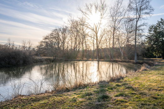 74-web-or-mls-6099 Millikin Rd (74 of 100)