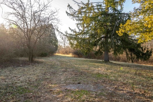 77-web-or-mls-6099 Millikin Rd (77 of 100)