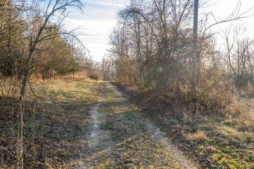 86-web-or-mls-6099 Millikin Rd (86 of 100)