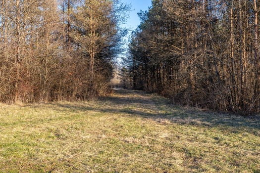 89-web-or-mls-6099 Millikin Rd (89 of 100)