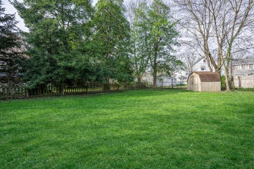 MLS Photo Editing - 1