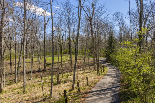 1-web-or-mls-3 Noel Ln (1 of 20)