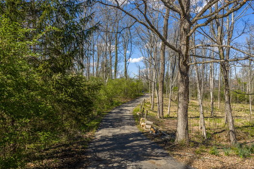 20-web-or-mls-3 Noel Ln (20 of 20)