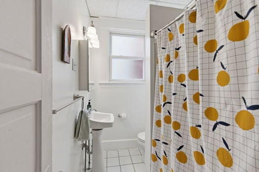 32-web-or-mls-3644 Columbus Ave (32 of 66)