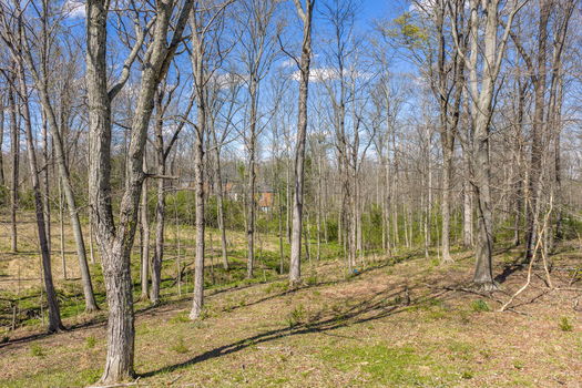 4-web-or-mls-3 Noel Ln (4 of 20)