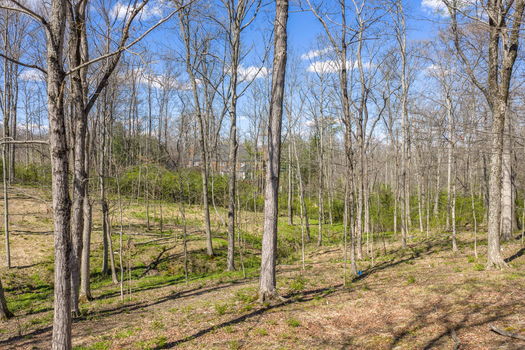 5-web-or-mls-3 Noel Ln (5 of 20)