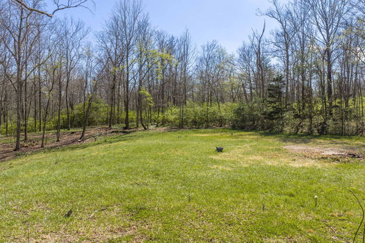 6-web-or-mls-3 Noel Ln (6 of 20)