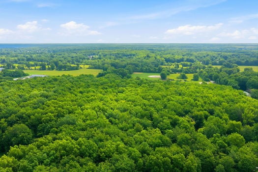 15-web-or-mls-2913 Lindale-Mt Holly Rd-15
