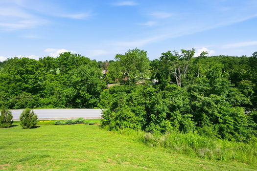 10-web-or-mls-1654 St Annes Ct-12