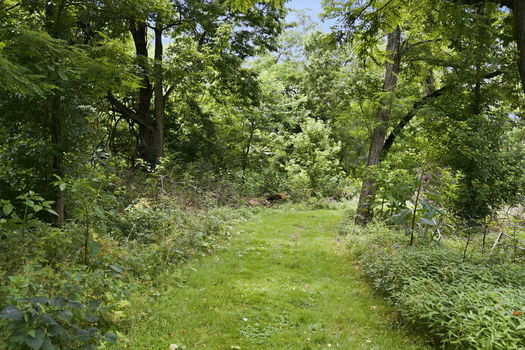 27-web-or-mls-3571 Horncastle Dr-27