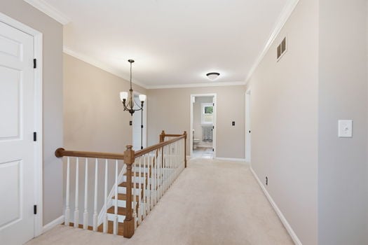40-web-or-mls-11430 Brattle Ln (40 of 89)
