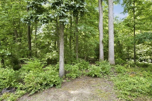 47-web-or-mls-5317 Hickory Trail Ln-47