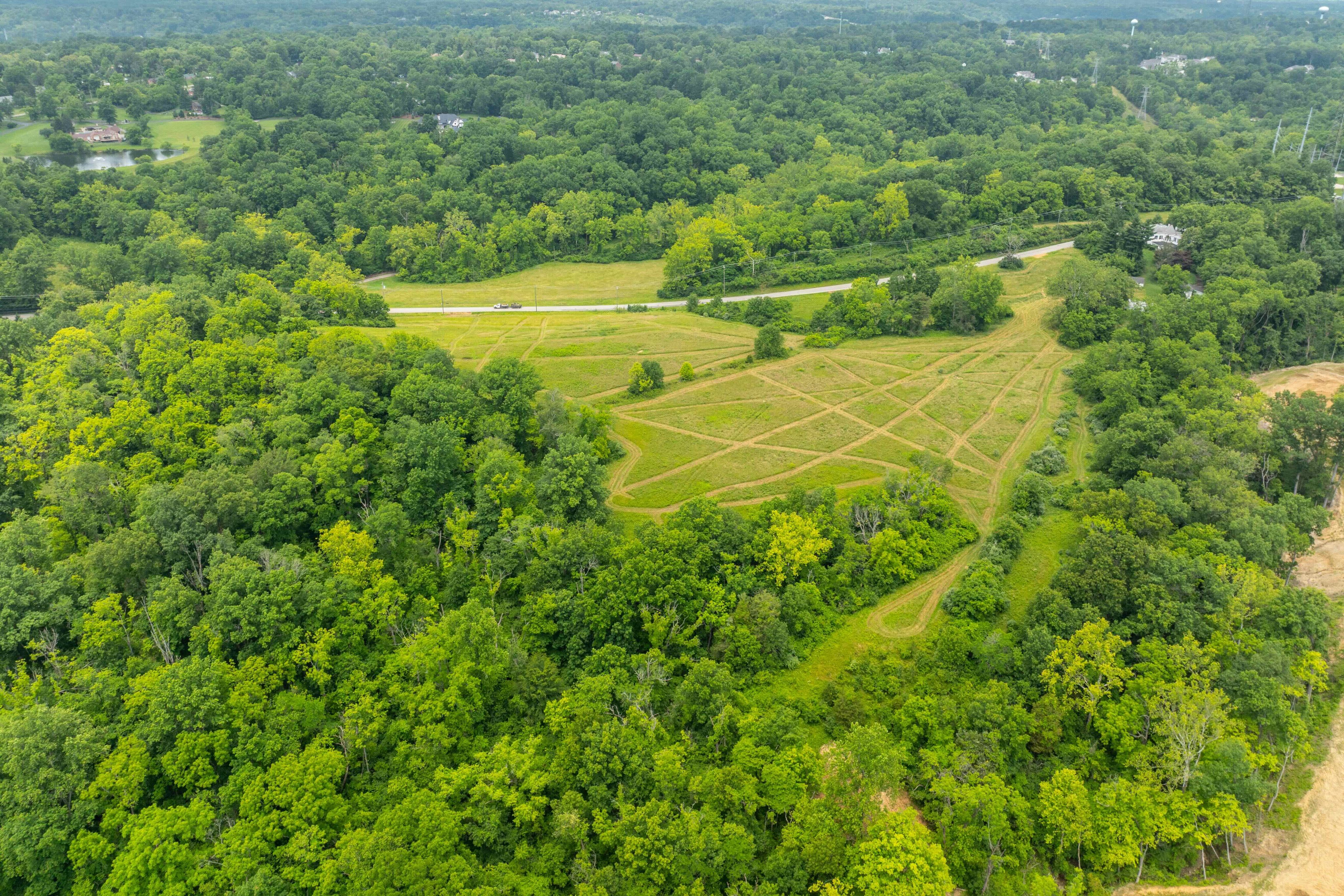Wards Corner:Trailside