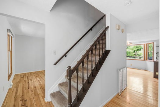 5-web-or-mls-9667 Timbermill Ct-5