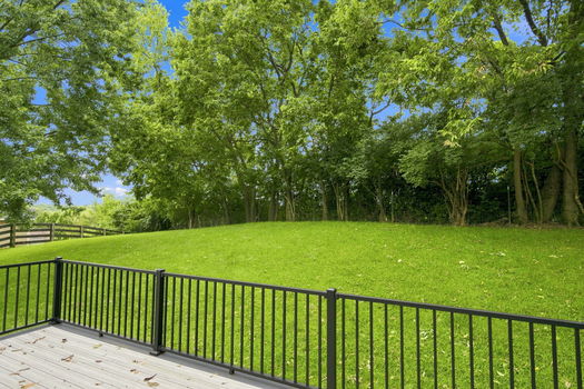58-web-or-mls-12100 Deer Chase Dr-58