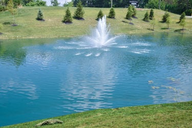 Kensingston_11
