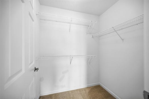 38-web-or-mls-7515 Ribbon Falls Ln-38