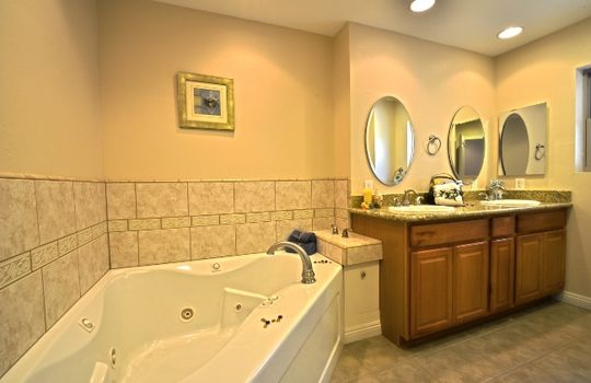 Master Bath Pro