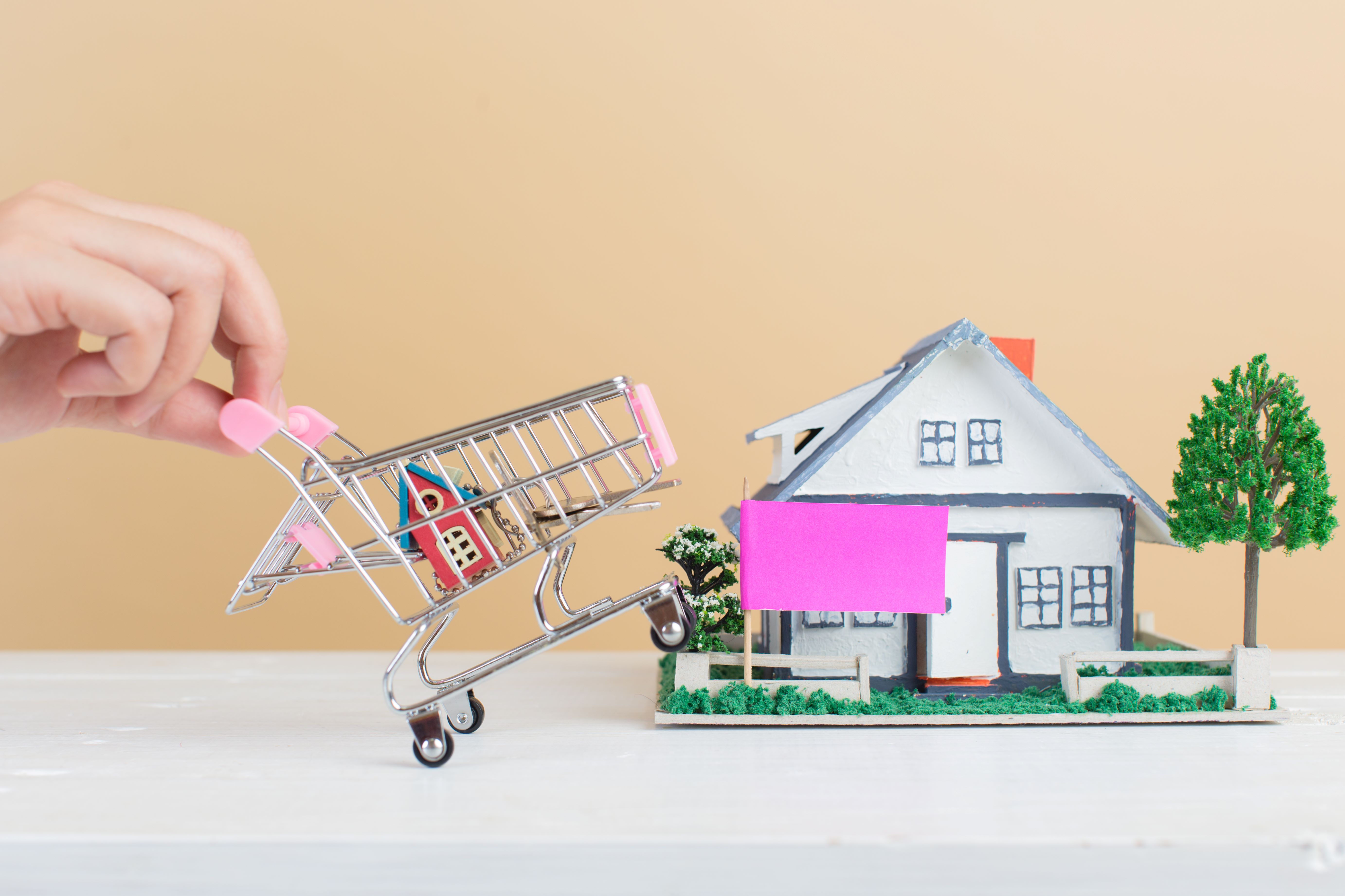 property-market-house-shopping-cart 1