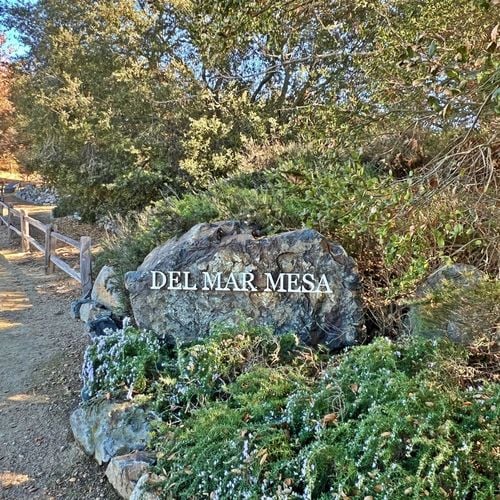 Del Mar Mesa and Carmel Valley: Two Distinct Ways to Live in 92130