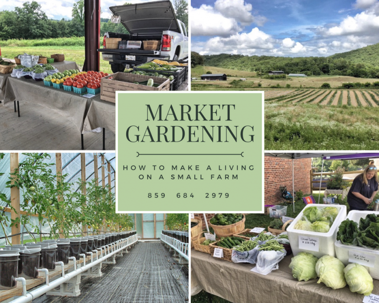 VIDEO Make 300/day Market Gardening for a living, How to Make Money