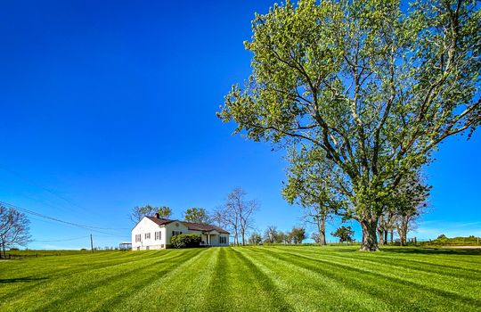 Small-House-Big-Land-for-sale-Kentucky-100