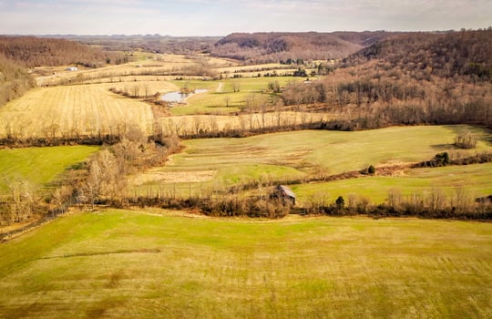 Farm tour-how to buy land-farm land for sale-cheap land in Kentucky-106