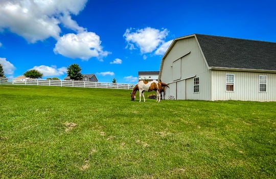 Horse Property for sale in Kentucky 201&#8211;101