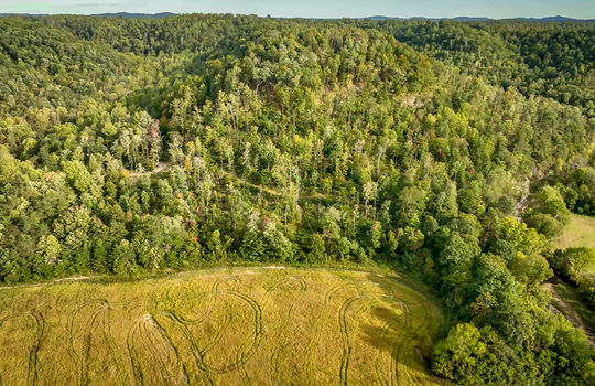 Farm Land for sale in Kentucky 7260-125