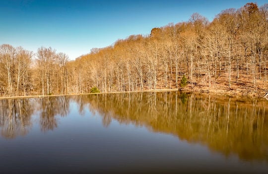 Fishing Lake for sale Kentucky Real Estate-100