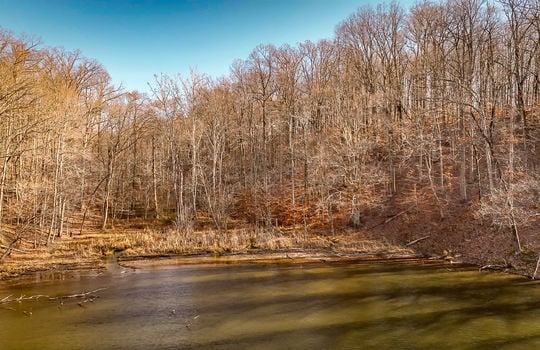Fishing Lake for sale Kentucky Real Estate-128