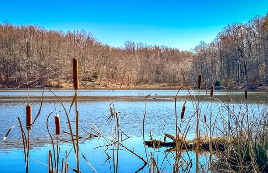Fishing Lake for sale Kentucky Real Estate-129