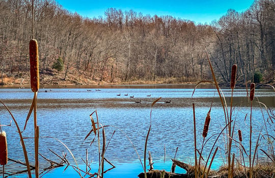 Fishing Lake for sale Kentucky Real Estate-130