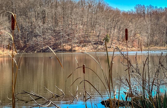 Fishing Lake for sale Kentucky Real Estate-131