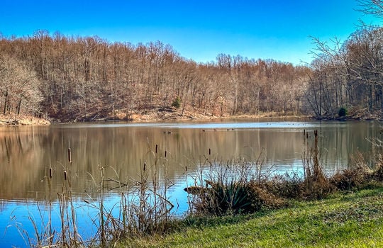 Fishing Lake for sale Kentucky Real Estate-132