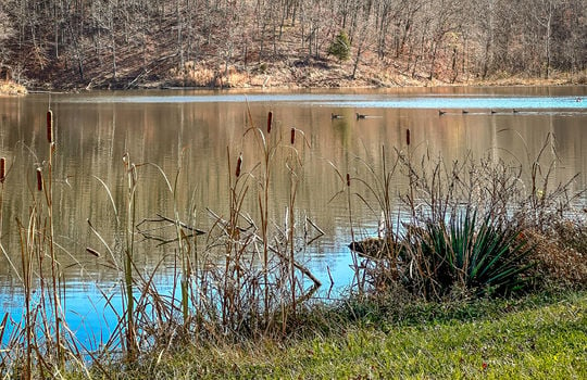 Fishing Lake for sale Kentucky Real Estate-133