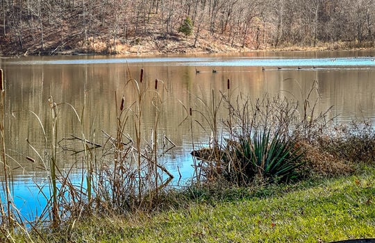 Fishing Lake for sale Kentucky Real Estate-134