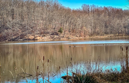 Fishing Lake for sale Kentucky Real Estate-135