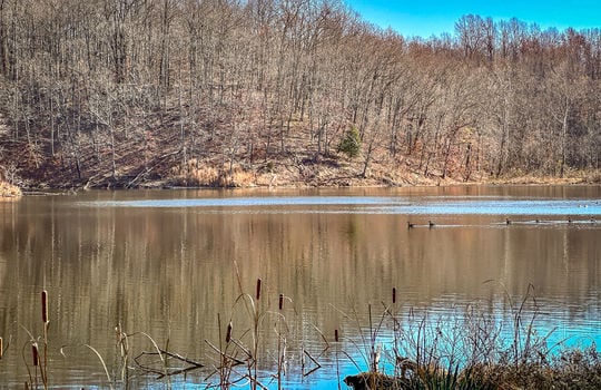 Fishing Lake for sale Kentucky Real Estate-136