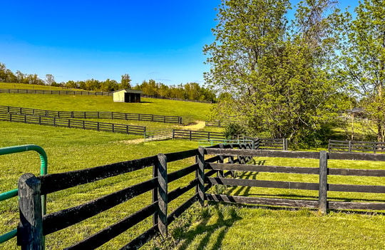 Land for sale-Danville Kentucky-farms for sale-horse farm for sale, horse boarding-133